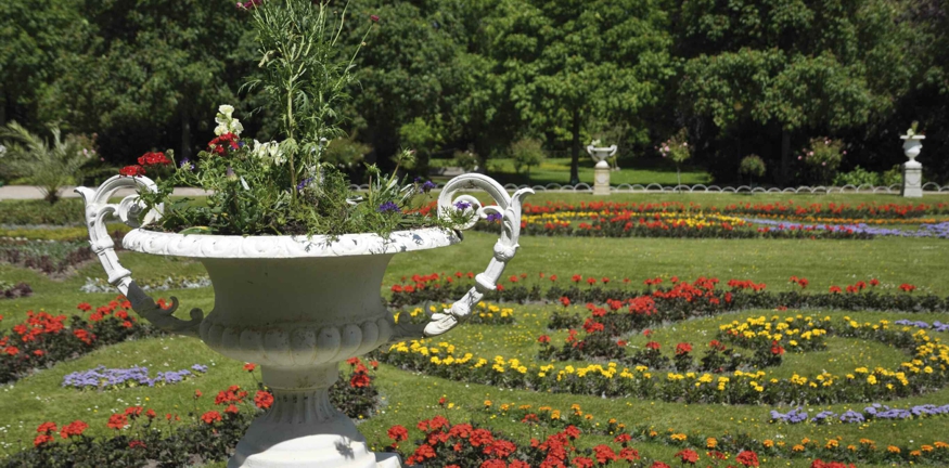 Blick auf das Parterre im Sommerflor mit Pelargonien (rot), Studentenblumen (gelb), Leberbalsam (blau) u.a.. Parterre1